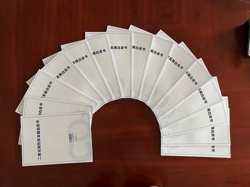 重磅！《二氧化碳熱泵發(fā)展白皮書(shū)》正式印發(fā)